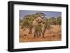 Amboseli elephant, Amboseli National Park, Africa-John Wilson-Framed Photographic Print