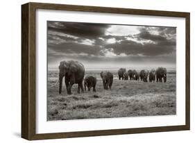 Amboseli Elephants-Jorge Llovet-Framed Art Print