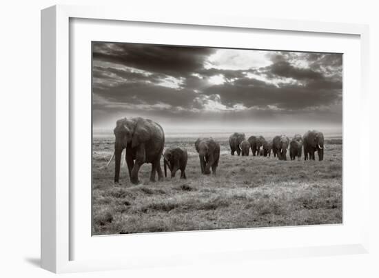 Amboseli Elephants-Jorge Llovet-Framed Art Print