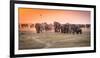 Amboseli Morning Stroll to Starbucks-Jeffrey C. Sink-Framed Photographic Print