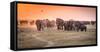Amboseli Morning Stroll to Starbucks-Jeffrey C. Sink-Framed Stretched Canvas
