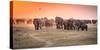 Amboseli Morning Stroll to Starbucks-Jeffrey C. Sink-Stretched Canvas