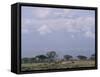 Amboseli National Park and Mt. Kilimanjaro, Kenya, Africa-Charles Bowman-Framed Stretched Canvas