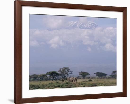 Amboseli National Park and Mt. Kilimanjaro, Kenya, Africa-Charles Bowman-Framed Photographic Print