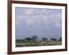 Amboseli National Park and Mt. Kilimanjaro, Kenya, Africa-Charles Bowman-Framed Photographic Print