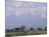 Amboseli National Park and Mt. Kilimanjaro, Kenya, Africa-Charles Bowman-Mounted Photographic Print