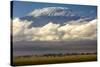 Amboseli National Park, Kenya-Art Wolfe-Stretched Canvas