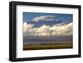 Amboseli National Park, Kenya-Art Wolfe-Framed Photographic Print