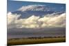 Amboseli National Park, Kenya-Art Wolfe-Mounted Premium Photographic Print