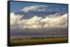 Amboseli National Park, Kenya-Art Wolfe-Framed Stretched Canvas