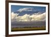 Amboseli National Park, Kenya-Art Wolfe-Framed Photographic Print