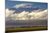 Amboseli National Park, Kenya-Art Wolfe-Mounted Photographic Print