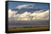 Amboseli National Park, Kenya-Art Wolfe-Framed Stretched Canvas