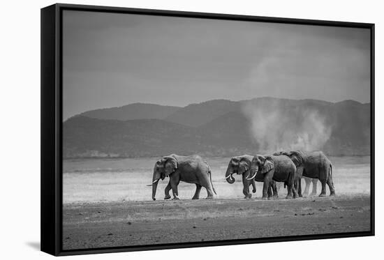 Amboseli Park,Kenya,Africa a Family of Elephants in Amboseli Kenya-ClickAlps-Framed Stretched Canvas