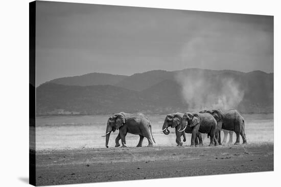 Amboseli Park,Kenya,Africa a Family of Elephants in Amboseli Kenya-ClickAlps-Stretched Canvas