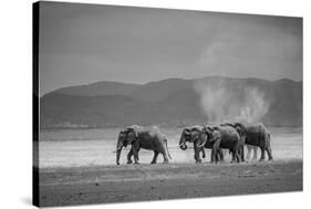 Amboseli Park,Kenya,Africa a Family of Elephants in Amboseli Kenya-ClickAlps-Stretched Canvas