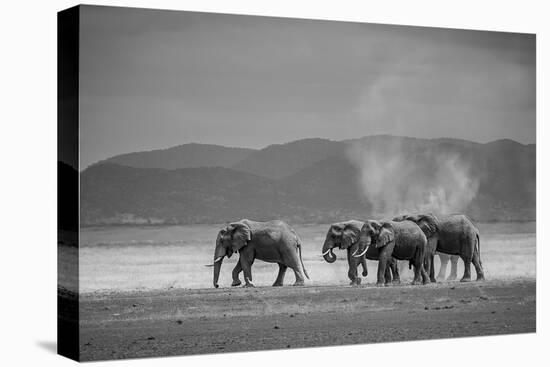 Amboseli Park,Kenya,Africa a Family of Elephants in Amboseli Kenya-ClickAlps-Stretched Canvas