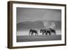 Amboseli Park,Kenya,Africa a Family of Elephants in Amboseli Kenya-ClickAlps-Framed Photographic Print