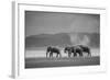 Amboseli Park,Kenya,Africa a Family of Elephants in Amboseli Kenya-ClickAlps-Framed Photographic Print