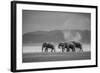 Amboseli Park,Kenya,Africa a Family of Elephants in Amboseli Kenya-ClickAlps-Framed Photographic Print