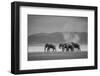 Amboseli Park,Kenya,Africa a Family of Elephants in Amboseli Kenya-ClickAlps-Framed Photographic Print