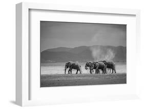 Amboseli Park,Kenya,Africa a Family of Elephants in Amboseli Kenya-ClickAlps-Framed Photographic Print