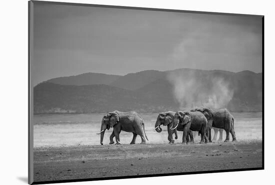Amboseli Park,Kenya,Africa a Family of Elephants in Amboseli Kenya-ClickAlps-Mounted Photographic Print