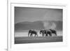 Amboseli Park,Kenya,Africa a Family of Elephants in Amboseli Kenya-ClickAlps-Framed Photographic Print