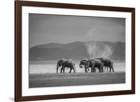 Amboseli Park,Kenya,Africa a Family of Elephants in Amboseli Kenya-ClickAlps-Framed Photographic Print