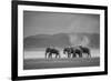 Amboseli Park,Kenya,Africa a Family of Elephants in Amboseli Kenya-ClickAlps-Framed Photographic Print