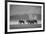 Amboseli Park,Kenya,Africa a Family of Elephants in Amboseli Kenya-ClickAlps-Framed Photographic Print