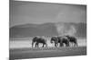 Amboseli Park,Kenya,Africa a Family of Elephants in Amboseli Kenya-ClickAlps-Mounted Photographic Print