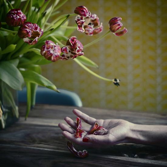 Premium Photographic Print, , large