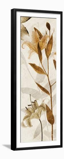 Ambre Antique I-Thea Schrack-Framed Premium Giclee Print