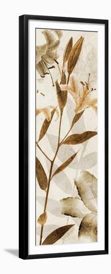 Ambre Antique II-Thea Schrack-Framed Premium Giclee Print