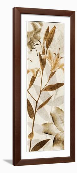 Ambre Antique II-Thea Schrack-Framed Giclee Print