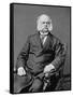 Ambrose Burnside, Union General-Science Source-Framed Stretched Canvas