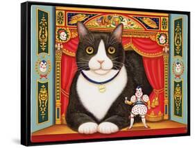 Ambrose the Theatre Cat, 2007-Frances Broomfield-Framed Stretched Canvas