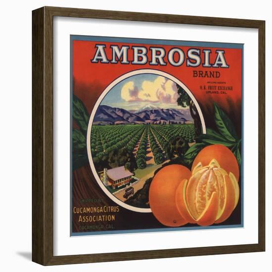 Ambrosia Brand - Upland, California - Citrus Crate Label-Lantern Press-Framed Art Print