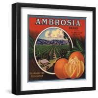 Ambrosia Brand - Upland, California - Citrus Crate Label-Lantern Press-Framed Art Print