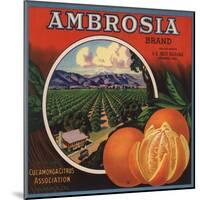 Ambrosia Brand - Upland, California - Citrus Crate Label-Lantern Press-Mounted Art Print