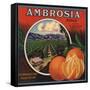 Ambrosia Brand - Upland, California - Citrus Crate Label-Lantern Press-Framed Stretched Canvas