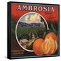 Ambrosia Brand - Upland, California - Citrus Crate Label-Lantern Press-Framed Stretched Canvas