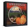 Ambrosia Brand - Upland, California - Citrus Crate Label-Lantern Press-Framed Stretched Canvas