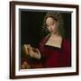 Brown Frame