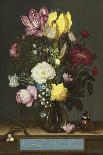 Tulips in a Glass Vase-Ambrosius Bosschaert the Elder-Giclee Print