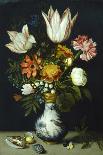 Chinese Vase with Flowers, Shells and Insects-Ambrosius Bosschaert the Elder-Giclee Print