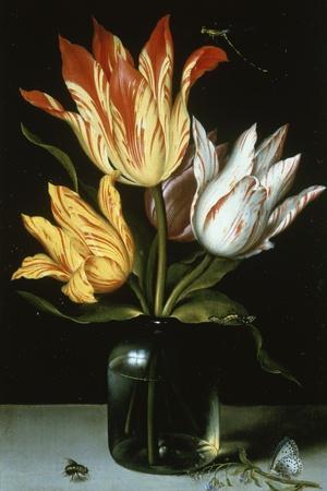 Tulips in a Glass Vase