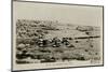 Ambulance Camp in Sinai, Egypt-null-Mounted Photographic Print