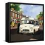 Ambulance Driver-null-Framed Stretched Canvas